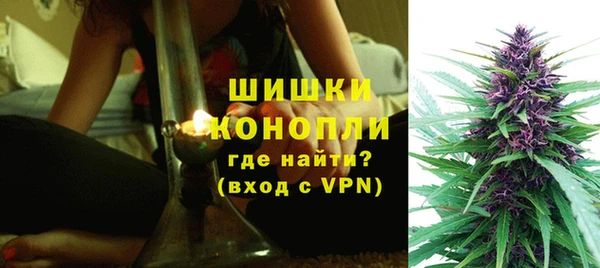 ПСИЛОЦИБИНОВЫЕ ГРИБЫ Бугульма