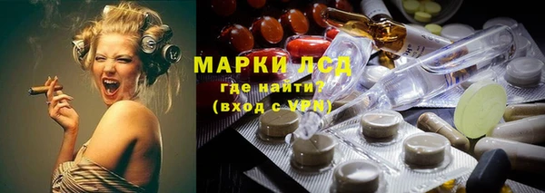 мяу мяу мука Бородино